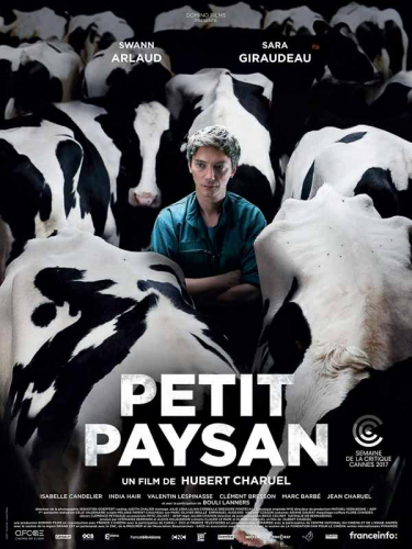 Domino Petit Paysan Charuel