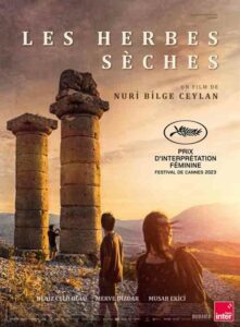 Arte Les Herbes Seches Nuri Bilge Ceylan